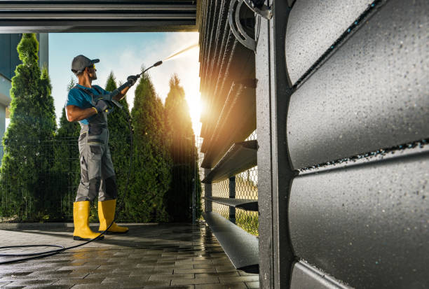 Best Roof Washing  in Port Gibson, MS